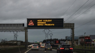 Pourquoi le secteur automobile europ&eacute;en traverse "un ouragan force 5"?