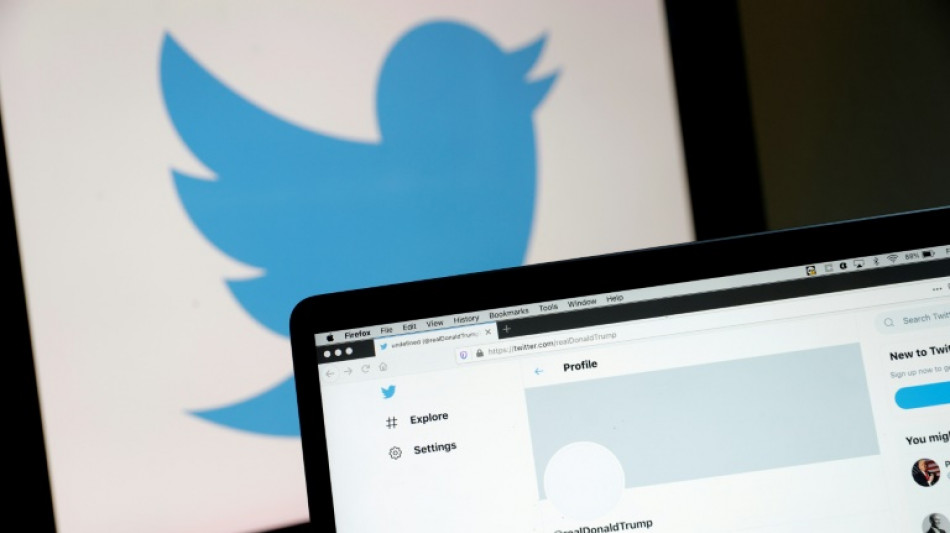 Elon Musk hat Donald Trumps Profil bei Twitter entsperrt