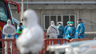 US, French nationals from hantavirus ship test positive