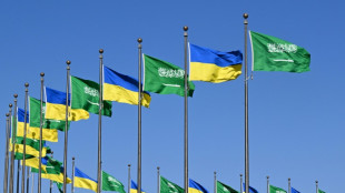 Ucrânia lança centenas de drones contra a Rússia antes de reunião com representantes dos Estados Unidos