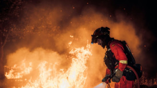 Varios incendios cercan Madrid y obligan a evacuar a miles de personas en Francia y Espa&ntilde;a