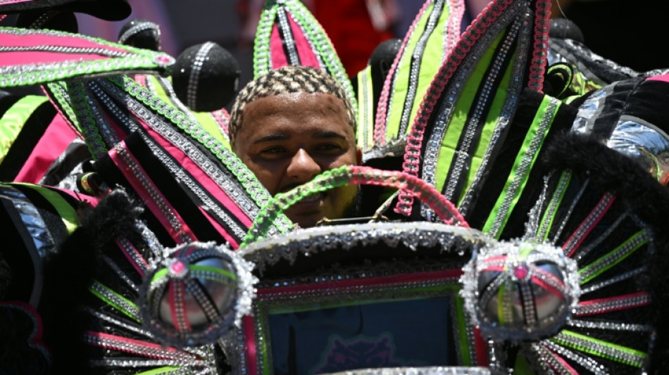 L'heure du carnaval &agrave; Rio, entre f&eacute;&eacute;rie et politique