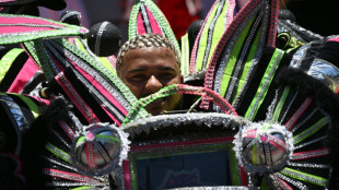 L'heure du carnaval &agrave; Rio, entre f&eacute;&eacute;rie et politique