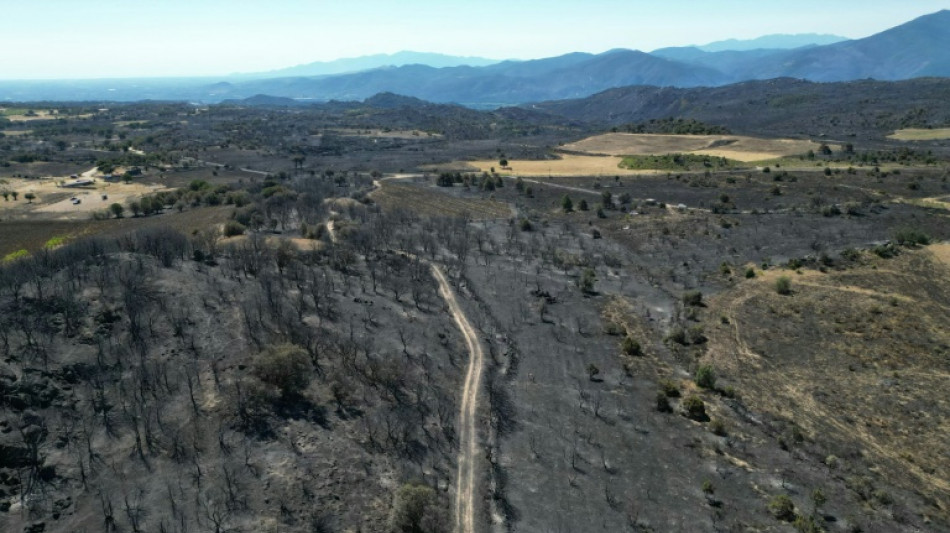 Incendies: 32 personnes suspect&eacute;es d'&ecirc;tre &agrave; l'origine de d&eacute;parts de feu interpell&eacute;es, annonce Nu&ntilde;ez 