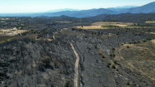 Incendies: 32 personnes suspect&eacute;es d'&ecirc;tre &agrave; l'origine de d&eacute;parts de feu interpell&eacute;es, annonce Nu&ntilde;ez 