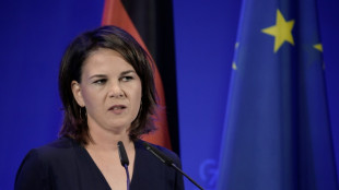 Baerbock: Menschenrechtsrat kann Stimme f&uuml;r Rechte der Iranerinnen und Iraner erheben