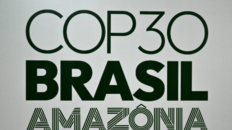 Merz h&auml;lt Rede bei internationalem Klimagipfel im brasilianischen Bel&eacute;m