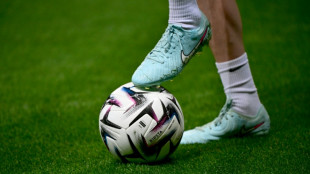 L'Assembl&eacute;e adopte la r&eacute;forme de la gouvernance du sport, se prononce contre la multipropri&eacute;t&eacute;