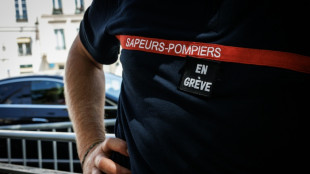 "D&eacute;&ccedil;us" et "&agrave; bout", les pompiers appellent &agrave; la mobilisation pour obtenir des moyens