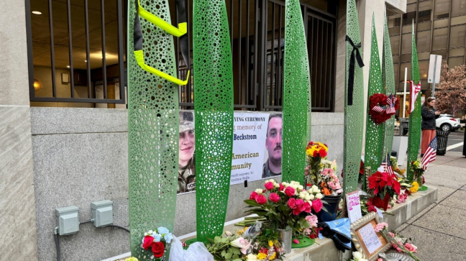 USA stoppen Einwanderungsantr&auml;ge aus 19 L&auml;ndern