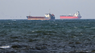 Suecia entregar&aacute; a Ucrania un buque de la flota fantasma rusa