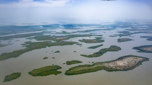 Doubts over Niger claim that a Boko Haram leader killed