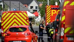 Un accidente de avi&oacute;n civil deja 11 muertos en Francia, seg&uacute;n las autoridades locales