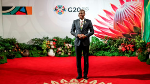 EEUU quita a Sud&aacute;frica del sitio oficial del G20