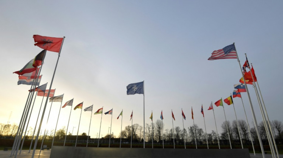 Finnland wird in die Nato aufgenommen