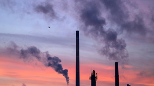 Deutsche Wirtschaft im vierten Quartal um 0,2 Prozent geschrumpft