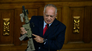 Venezuela: un 4e Am&eacute;ricain arr&ecirc;t&eacute; pour complot, l'UE et Madrid accus&eacute;s d'"ing&eacute;rence" par Caracas