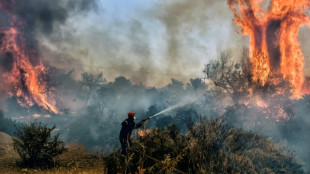 Gr&egrave;ce: des centaines de pompiers continuent l'"&eacute;norme bataille" contre les incendies