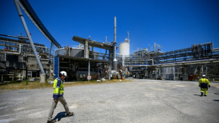 Fibre Excellence: la direction retire son offre pour laisser la place au nouvel investisseur  