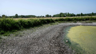 S&eacute;cheresse: risque d'incendie maximal, nombre "record" de d&eacute;partements en restrictions d'eau