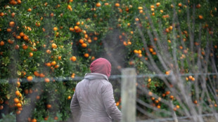 South Africa's migrant exodus leaves employers short-handed