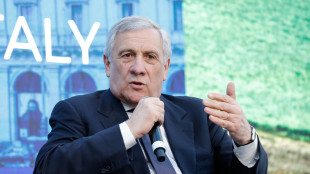 Tajani, adesione Balcani occidentali a Ue priorità del governo