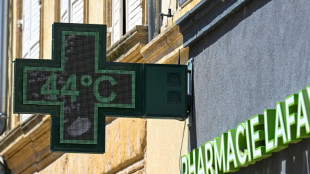 Canicule de juin : une surmortalit&eacute; record depuis 2003, marqu&eacute;e aussi chez les jeunes