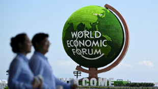 Geopolitics and AI in spotlight at China's 'Summer Davos'