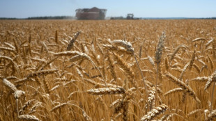 EU eyes tariffs to 'choke off' Russian grain sales