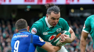 Leinster's Lowe misses out on Champions Cup final selection