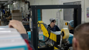 'Short of blue-collar workers': Ukraine's battle for labour