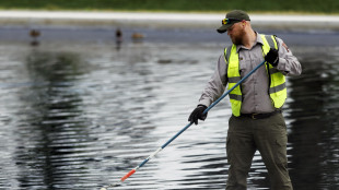Nella Reflecting Pool ristrutturata da Trump ci sono gi&agrave; le alghe