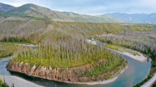 Comienza hist&oacute;rico juicio sobre da&ntilde;o ambiental en el noroeste de EEUU