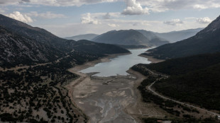Menac&eacute;e par le manque d'eau, la Gr&egrave;ce annonce un plan de 2,5 milliards d'euros