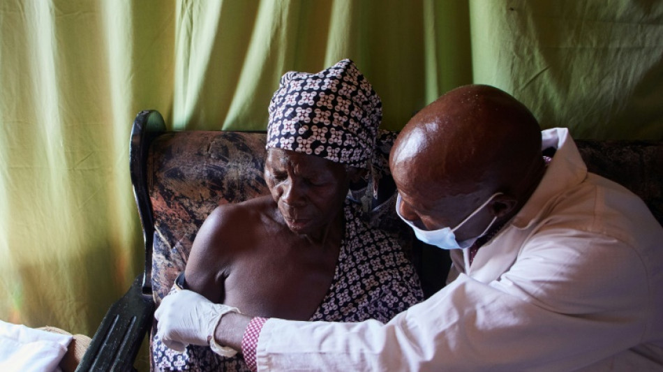 Au Zimbabwe, les herboristes poussent sur les ruines du syst&egrave;me de sant&eacute;