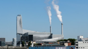 "Polluants &eacute;ternels" autour de l'incin&eacute;rateur d'Ivry: une &eacute;tude ravive les inqui&eacute;tudes