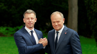 Magyar, Tusk tout Hungary's return to Europe in post-Orban era