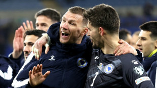 Dzeko lidera lista de convocados da B&oacute;snia para Copa do Mundo