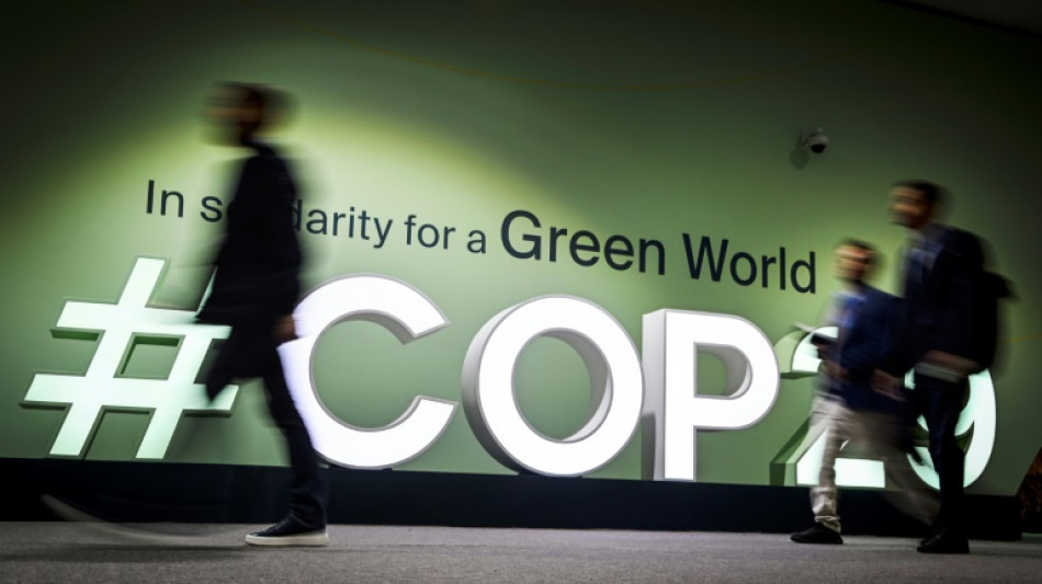 Quel climat sous Trump? Les dirigeants mondiaux r&eacute;pondent &agrave; la COP29