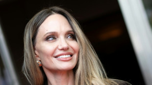 Angelina Jolie, presencia de &uacute;ltima hora en el Festival de San Sebasti&aacute;n