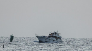 "Flottille pour Gaza": Isra&euml;l s'appr&ecirc;te &agrave; expulser les militants &eacute;trangers captur&eacute;s en mer