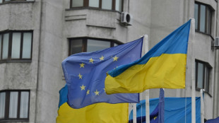Im Rahmen von EU-Ukraine-Spitzentreffen reisen auch viele EU-Kommissare nach Kiew