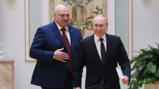 Belarus: Haftstrafen f&uuml;r zw&ouml;lf Angeklagte wegen Sabotage an russischem Flugzeug