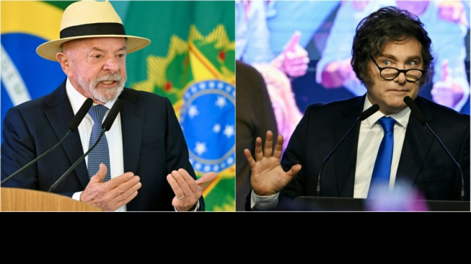 Brazil recalls ambassador to Argentina over Milei's Bolsonaro rally speech
