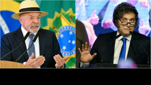 Brazil recalls ambassador to Argentina over Milei's Bolsonaro rally speech