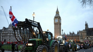 Des milliers d'agriculteurs &agrave; Londres contre un projet de taxe sur la succession