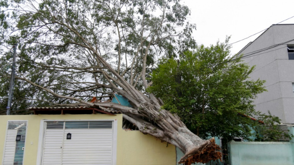 Nach D&uuml;rre: Acht Tote und Stromausf&auml;lle durch heftige Regenf&auml;lle in Brasilien
