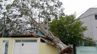 Nach D&uuml;rre: Acht Tote und Stromausf&auml;lle durch heftige Regenf&auml;lle in Brasilien