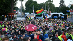Mass protests in Germany fail to stop far-right AfD congress