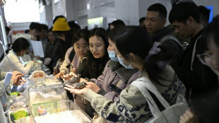 En Chine, la mode des animaux exotiques laisse le bien-&ecirc;tre en suspens